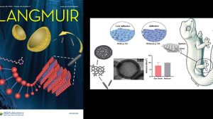 Осы бағытта ғалымдар бір жыл зерттеу жұмыстарын жүр­гізген. Олар әртүрлі өткізгіш по­лимер наноқұрылымдарын және олардың композиттерін жасау үшін қарапайым синтез тәсілі арқылы жүзеге асырды.