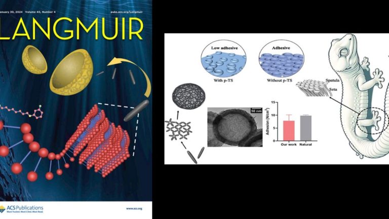 They have implemented various conductive polymer nanostructures and composites through a simple synthesis approach. These polymers are suitable for use in conductive adhesive tapes, medical bandages and reversible surfaces for robotic arms, reports Egemen.