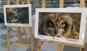 NU marked the importance of caring about the environment during "NU Green Week" which was held at on campus from April 1 to 7. The event was organized by the student community NU Green Society with the support of the Embassy of Switzerland in Kazakhstan and the office of Green Campus.