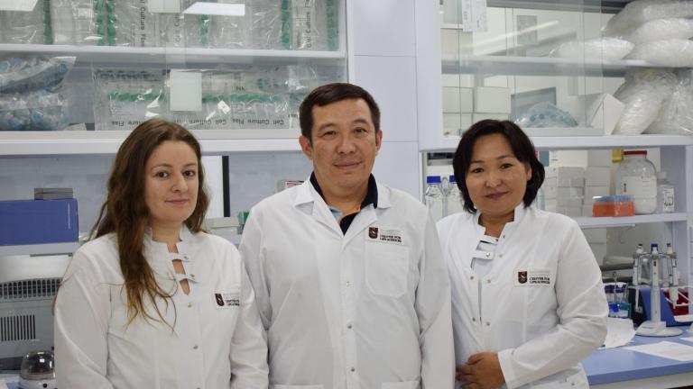 Labs. kz interviewed Sholpan Askarova, head of the bioengineering and regenerative medicine Laboratory at NU NLA, senior researcher Yuliya Safarova, and leading researcher Baurzhan Umbayev to learn more about bone repair techniques and new ways to quickly repair bone fractures.