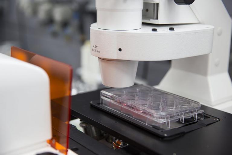 Назарбаев Университетінде ұялы телефондарды кәрілік деменциясын емдеу үшін пайдалану мүмкіндіктері зерттелуде. Ғалымдар Альцгеймер ауруын (АА) емдеу үшін 918 МГц жиіліктегі электромагниттік өрісті қолдану мүмкіндігін зерттей бастады.