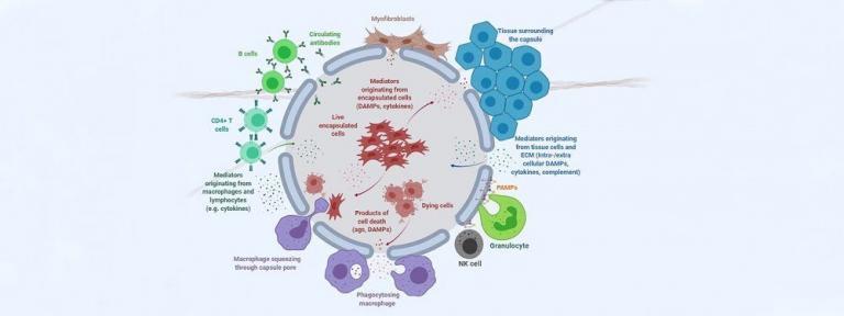 Этой весной впервые в истории НУ целый ряд докторантов университета успешно прошел защиту своих диссертаций в онлайн-режиме. Одним из тех, кто защитил свои научные работы в новом формате, стал докторант Школы инженерии и цифровых наук Талгат Тұранбекұлы, обучавшийся по специальности Electrical and Computer Engineering.