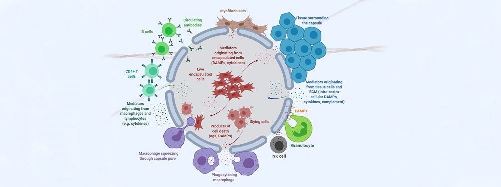Этой весной впервые в истории НУ целый ряд докторантов университета успешно прошел защиту своих диссертаций в онлайн-режиме. Одним из тех, кто защитил свои научные работы в новом формате, стал докторант Школы инженерии и цифровых наук Талгат Тұранбекұлы, обучавшийся по специальности Electrical and Computer Engineering.