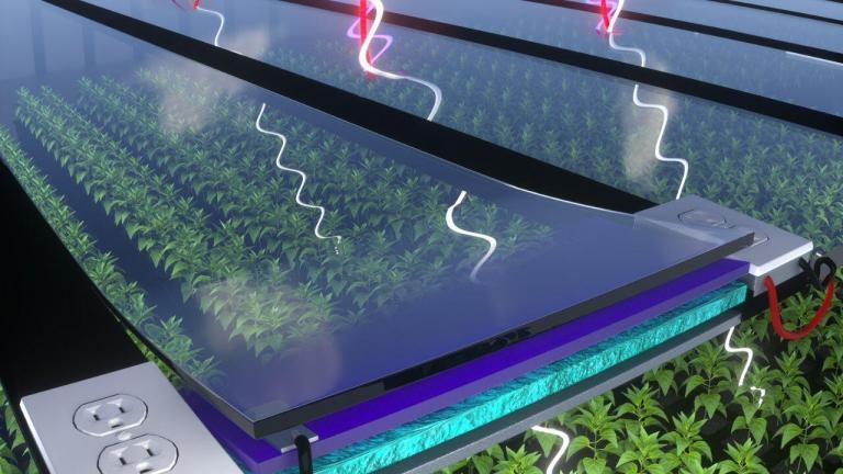 Organic photovoltaics offer sustainable, solution-processable, and cost-effective integrated energy harvesting solutions. While opaque organic solar cells underwent enormous progress in the past decade, it remains challenging to reach high performance and transparency in the visible spectral range simultaneously.