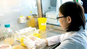 The research, led by an international team of 241 scholars, features the contributions of Dr. Dinara Pisareva and Dr.