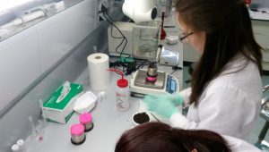 A team of researchers from NU seasonally sampled topsoil across a 2,000 km north-south gradient in Kazakhstan and analysed the physical and chemical compositions (i. e.