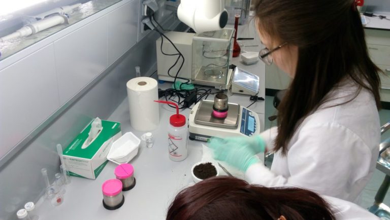 A team of researchers from NU seasonally sampled topsoil across a 2,000 km north-south gradient in Kazakhstan and analysed the physical and chemical compositions (i. e.