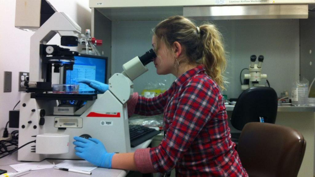 Sometimes scientists spend many years on research before a development can be commercialized and hit the market. Some innovative projects start off abroad, but later can be of use in Kazakhstan as well.