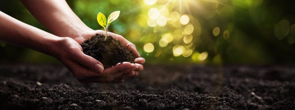 NU students implemented 16 projects to improve the campus environment under the Sustainability Living Lab program. The programs are focused on energy efficiency, plastic recycling, campus landscaping, the search for alternative fuel sources, and the introduction of "green" standards.