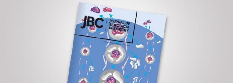 "Journal of Biological Chemistry" ғылыми журналының шілде айындағы басылымында жарияланған қазақстандық зерттеушілердің ғылыми мақаласы "Редакторлардың таңдауы" белгісіне лайықты деп танылды. Бұған қоса, редакторлар кеңесі өз таңдауында ғылыми зерттеуге қысқаша шолуды қоса беріп отыр.
