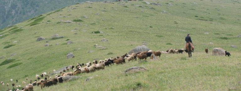 Новое исследование ученых из Назарбаев Университета, Института археологии им. А.