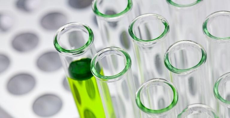 The conference was opened with a welcoming speech by the rector of the NU, Shigeo Katsu: “Biotechnology is helping the world, using the opportunities given to us by nature and the achievements of genetics: it reduces the incidence of infectious diseases and saves millions of children’s lives, fights with life and health threatening conditions of the body, helps to prevent illnesses …. “.