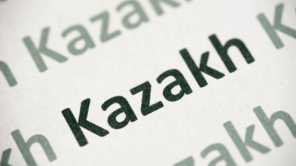 Бұл туралы NU SSH түлегі Бибарыс Сейтақ "Qazaqstan" телеарнасының "Апта" бағдарламасына өзінің сарапшы пікірін білдірді: "Визуал ақпараттың маңыздылығы зор. Бұл қай тілге басымдылық беріліп тұр, қай тіл құрметке ие екендігін көрсетеді.