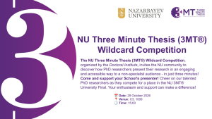 3mt wildcard 1